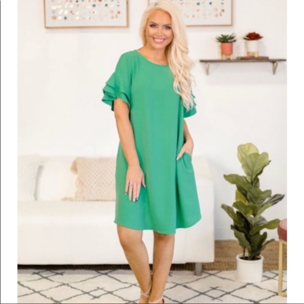 Brand new first Love dress with ruffled sleeves